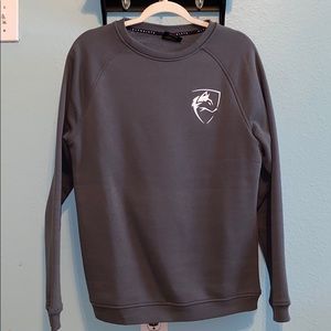 Dark Gray Alphalete Crewneck Sweater